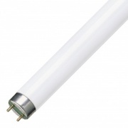 Люминесцентная лампа T8 Philips TL-D 58W/54-765 G13, 1500 mm